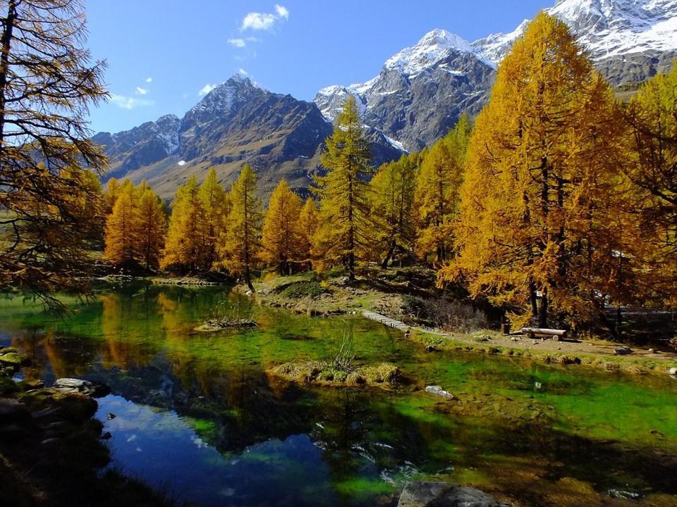 Aosta Stunning Panoramic Views From Modern Two Bedroom Apartment Eksteriør billede